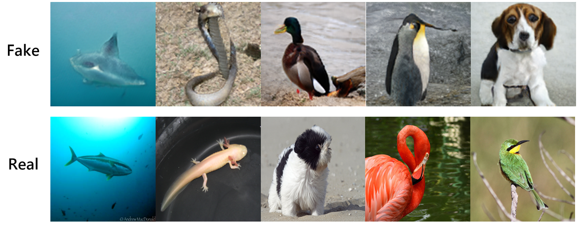Evaluation Image 10