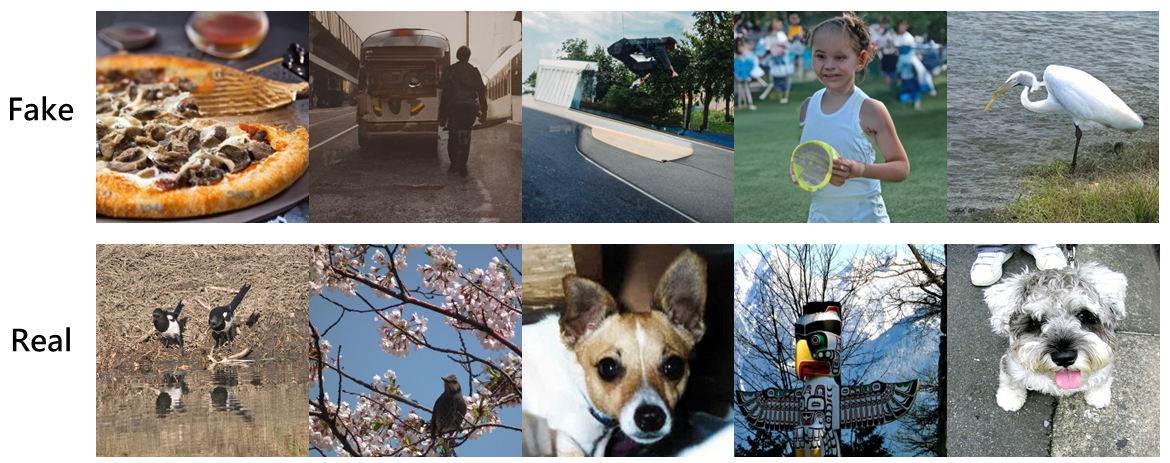 Evaluation Image 6