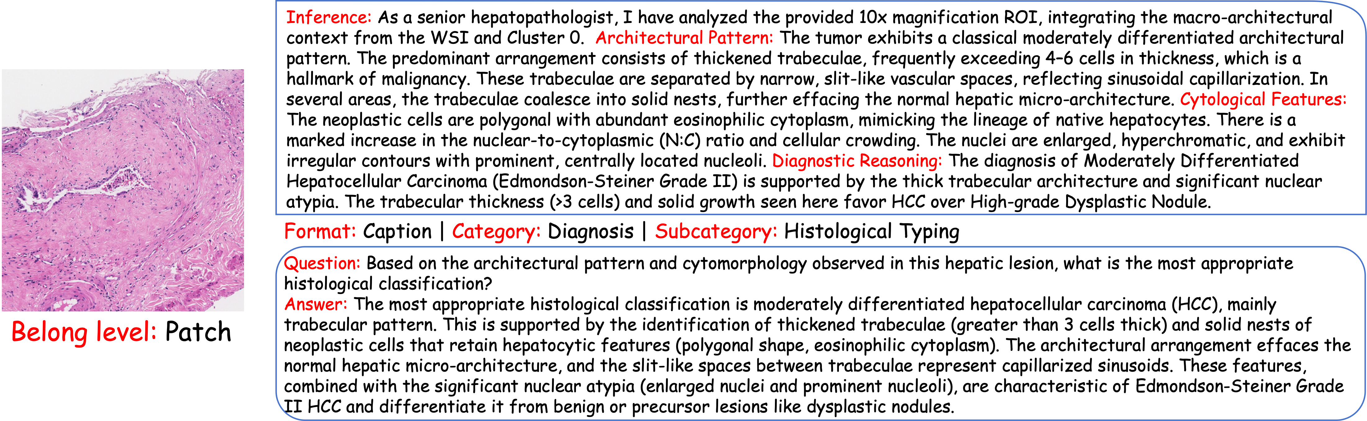 Patch Level Case Study 1