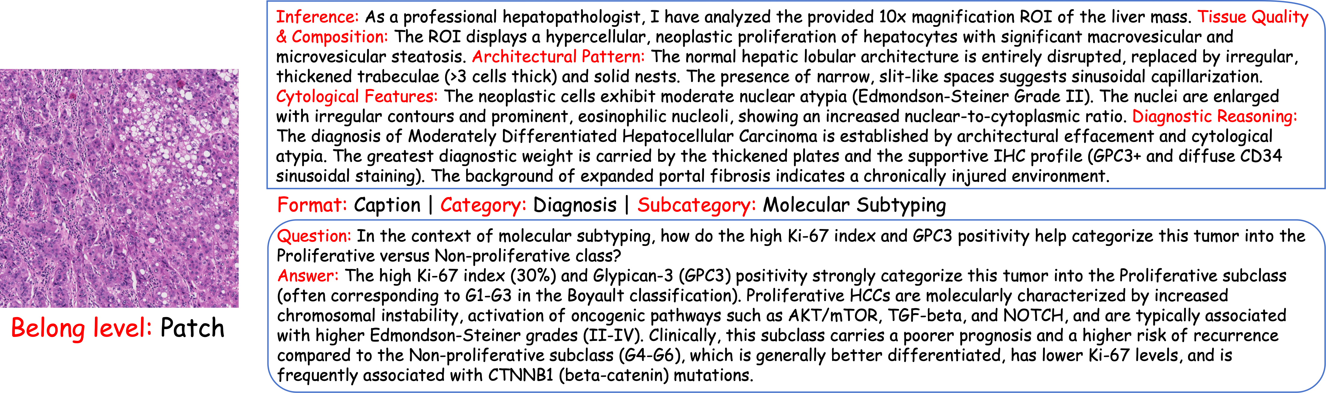 Patch Level Case Study 2