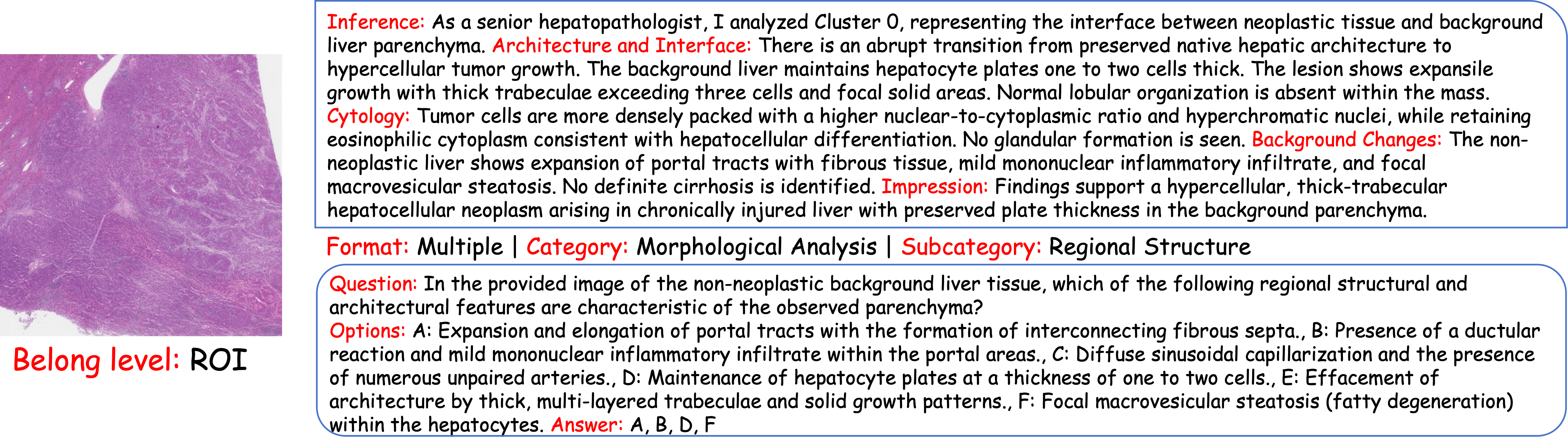 ROI Level Case Study 1
