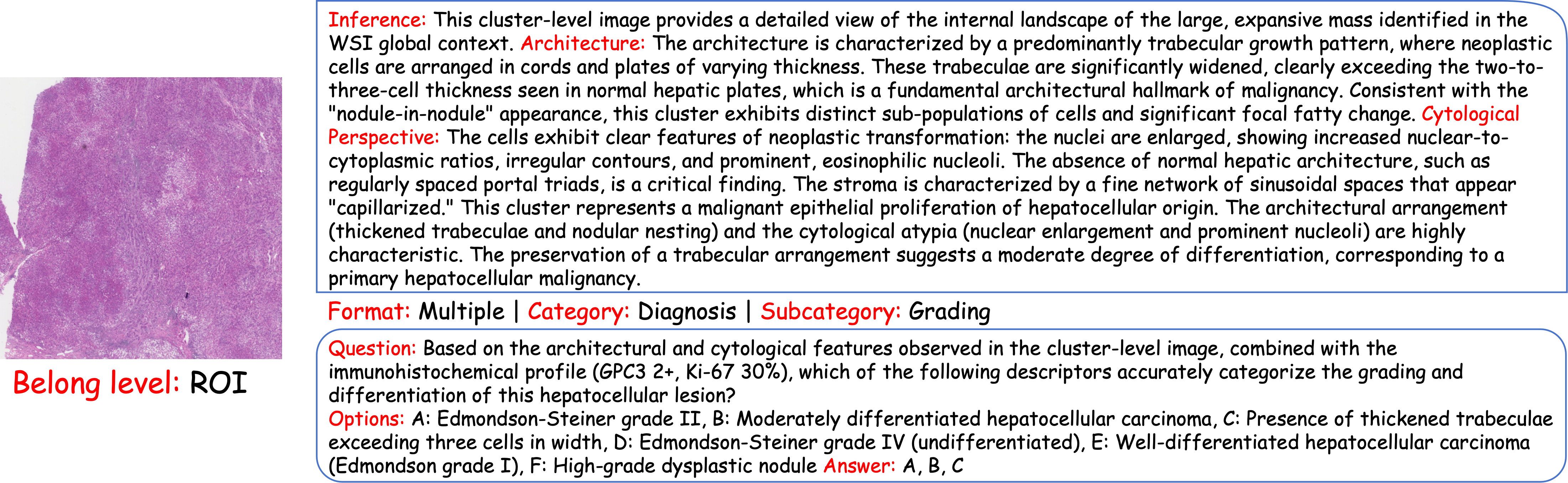 ROI Level Case Study 2