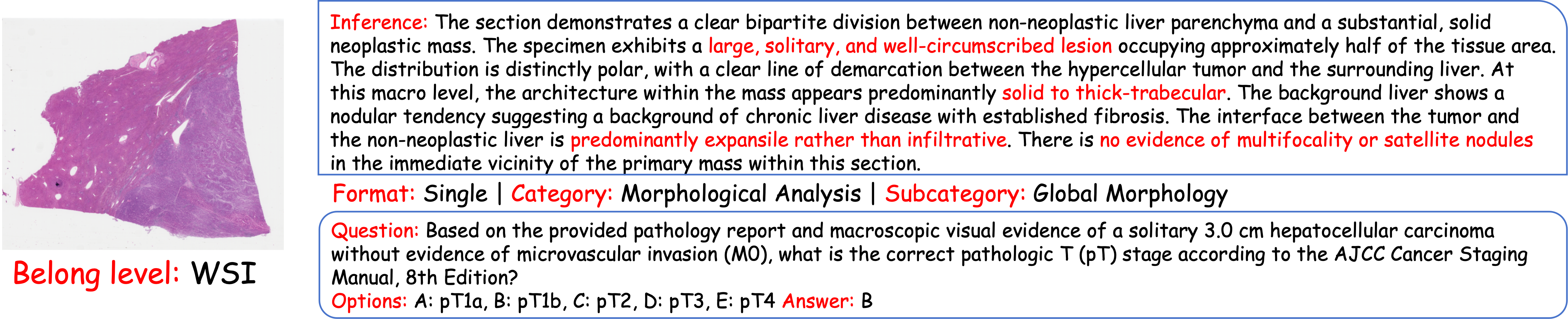 WSI Level Case Study 1